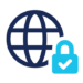 Globe icon with lock shield and check mark symbolizing strict security